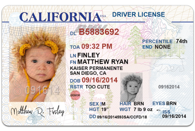 new california drivers licence psd